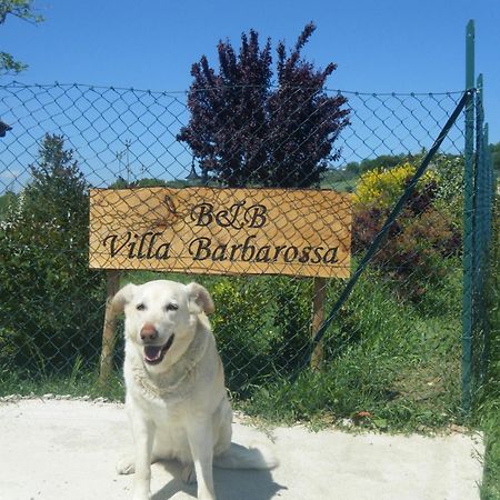 B&B Villa Barbarossa Petrignano Ngoại thất bức ảnh