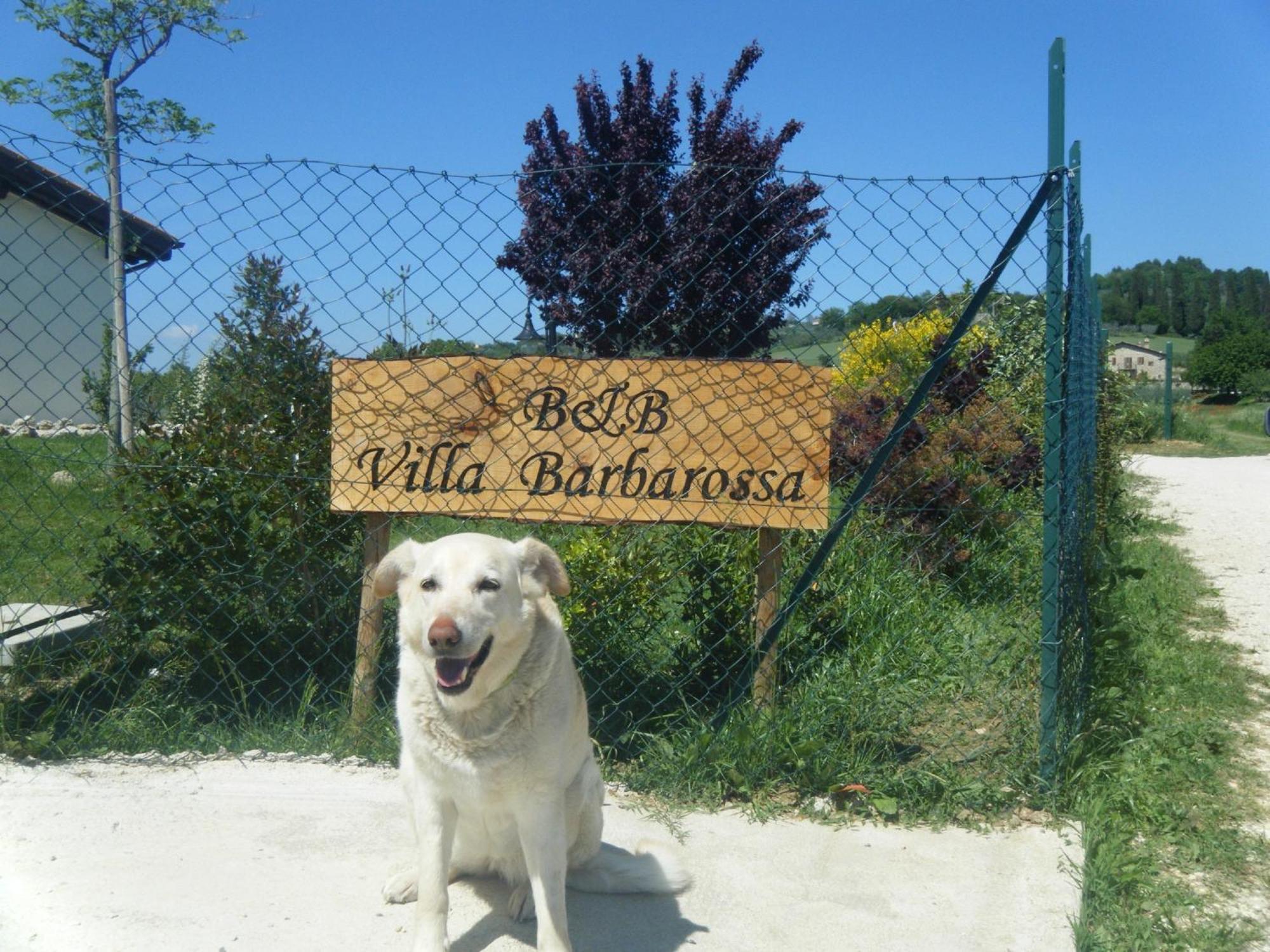 B&B Villa Barbarossa Petrignano Ngoại thất bức ảnh